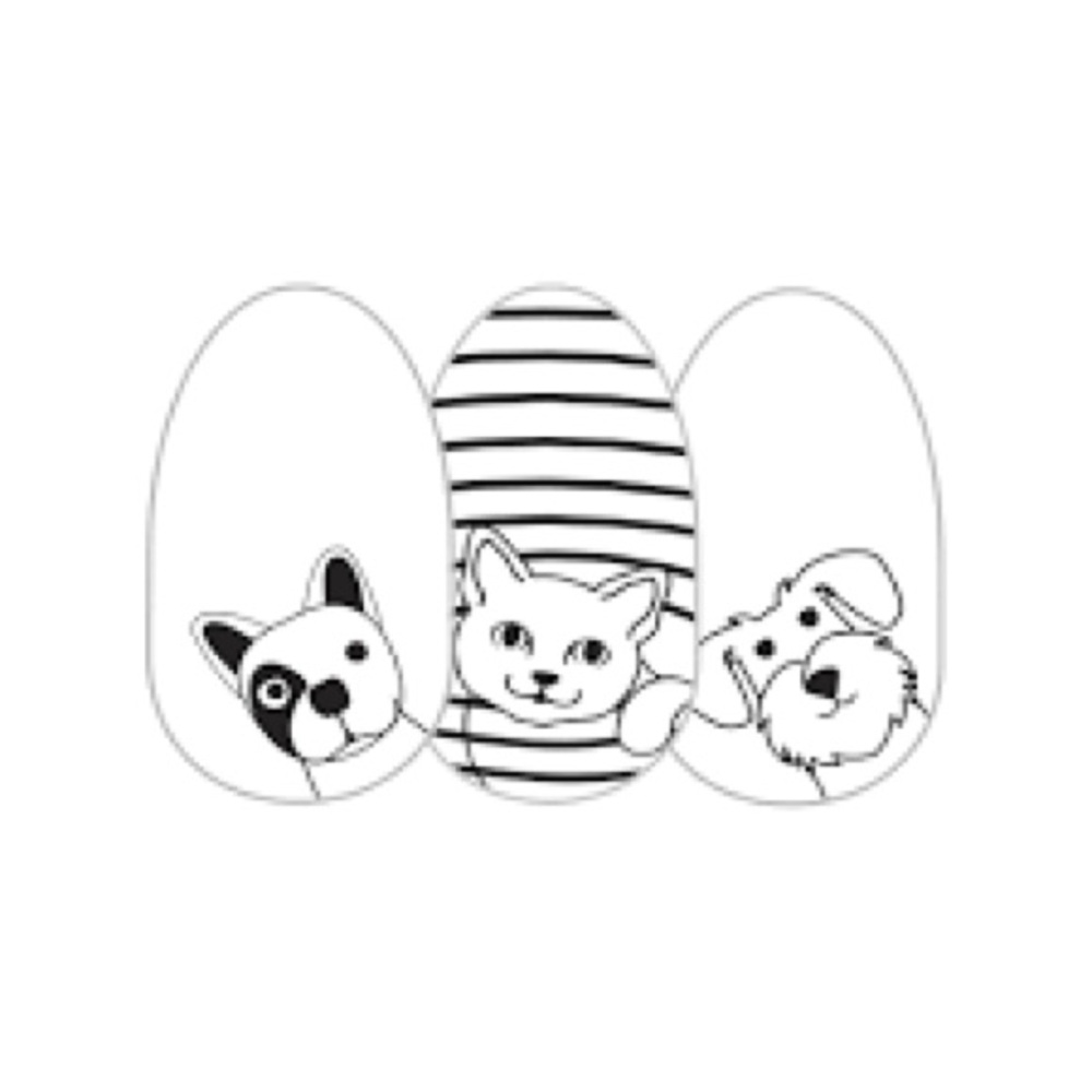 Color Street RETIRED FUREVER FRIENDS Black Outline Pet Design Nail Set